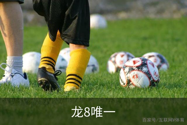 龙8唯一